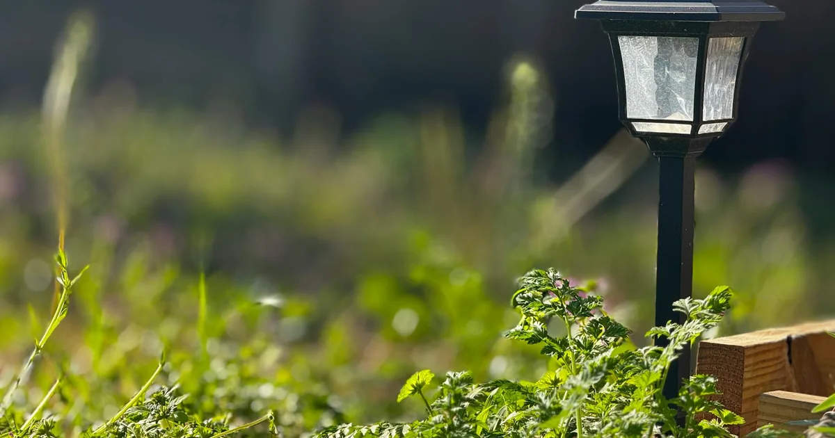 Luminaria solar de jardín con pequeño panel para comparar autonomía, sensor y ubicaci?n exterior